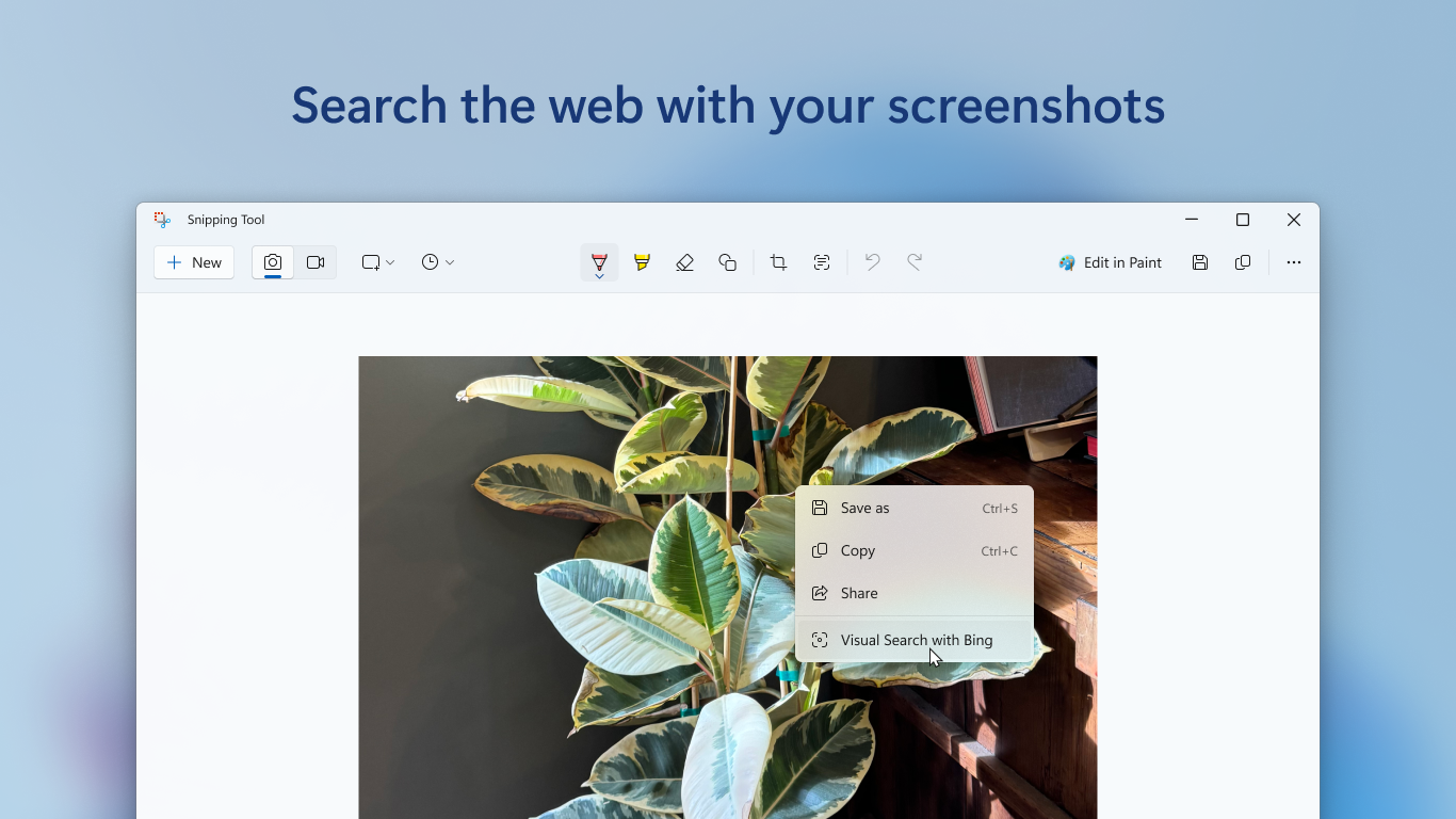 Контекстное меню с Visual Search with Bing на снимке растения